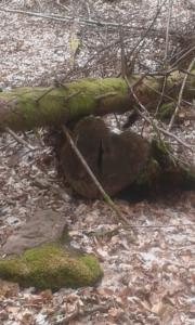 achtsam unterwegs - mit dem Herzen begegnen